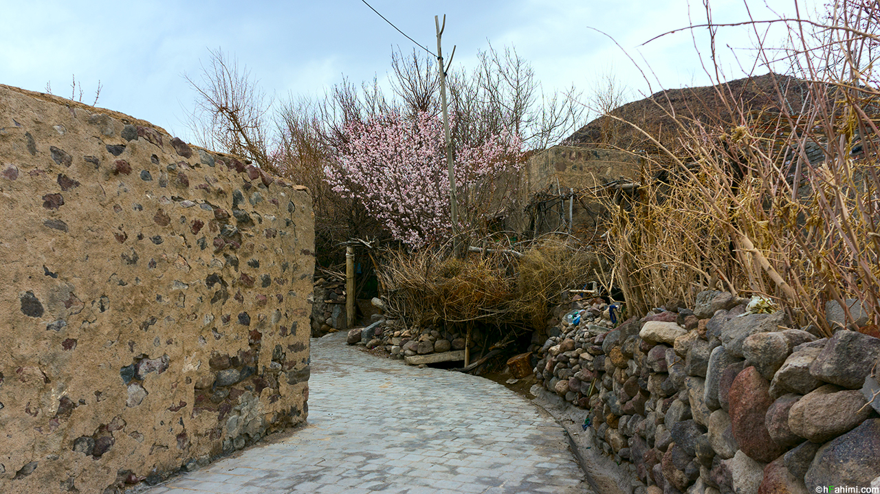 Tamin village