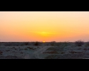 sunset on desert